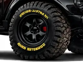 1955  Volkswagen Beetle - Image 2