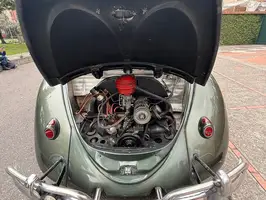 1953  Volkswagen Escarabajo - Image 12