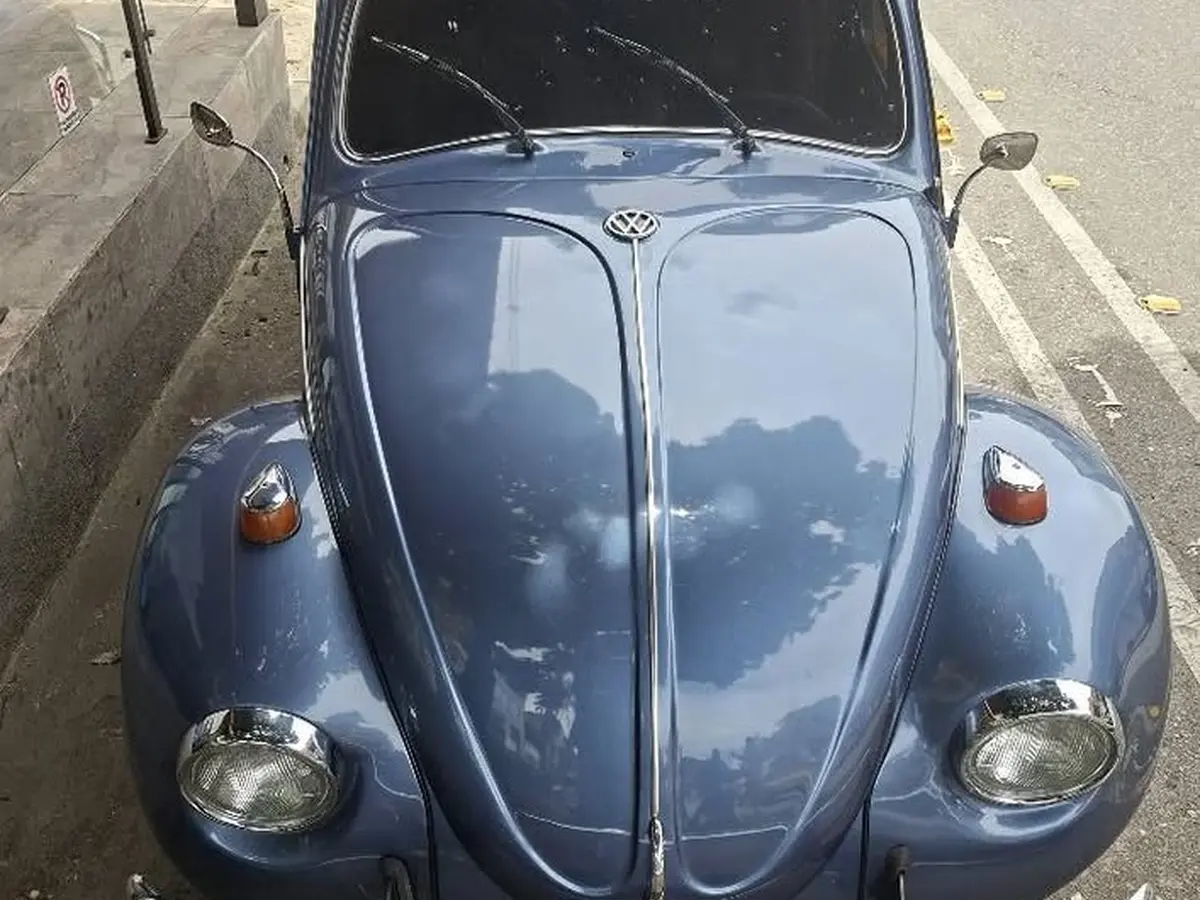 Volkswagen Escarabajo (1960) Rear View
