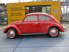 1961  Volkswagen Escarabajo - Image 4