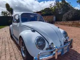 1967  Volkswagen Escarabajo - Image 3