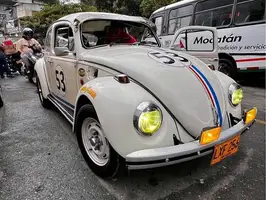 1979  Volkswagen Escarabajo - Image 1