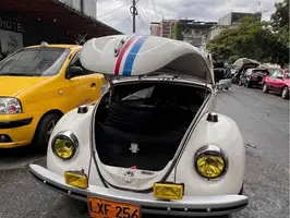 1979  Volkswagen Escarabajo - Image 7