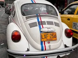 1979  Volkswagen Escarabajo - Image 9